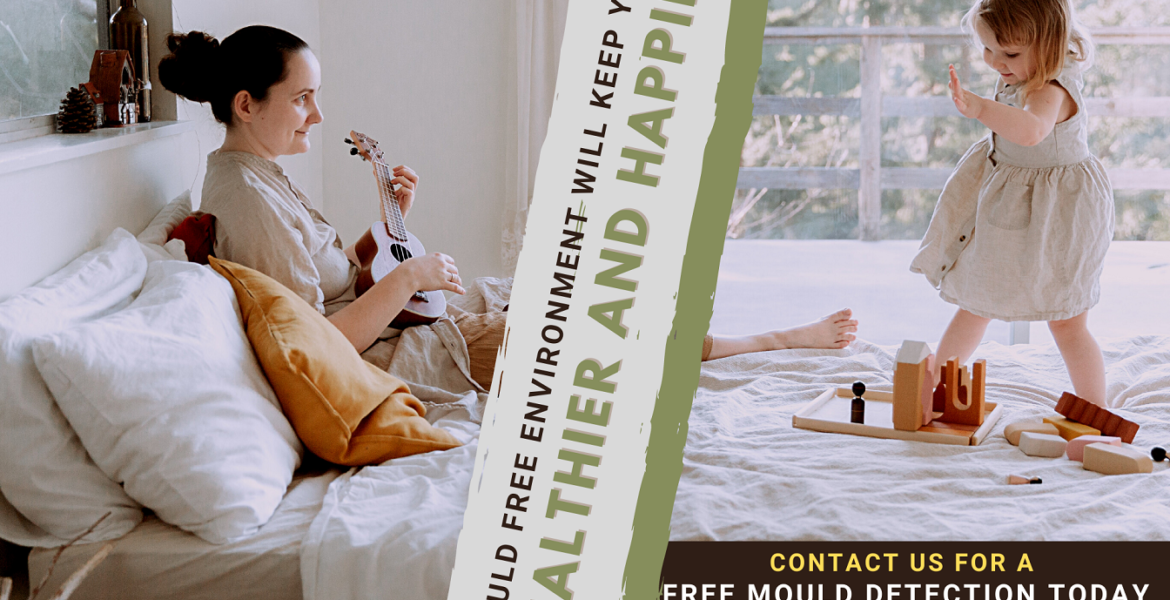 Mould Services For home