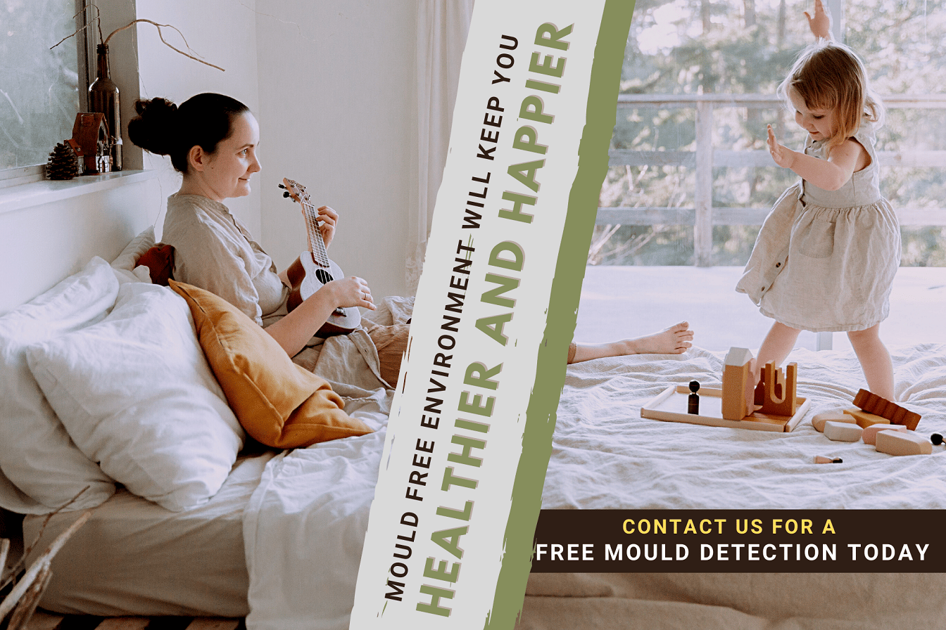 Mould Services For home